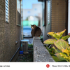 Xiaomi14TPro ポートレート