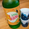 韓国は 炭酸アルコールがブーム？