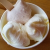 🍦食べ納め？いや、まだ行くたぶん