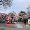 平野神社すごい人