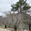 歴史が学べる【佐賀県旅行】