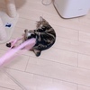 たくさん遊んだね🥰