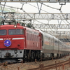 鉄道撮影　東北本線　蕨－南浦和　カシオペア紀行　EF81-97