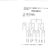 高校ラグビー　７人制