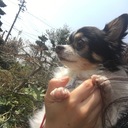 とあるアロマ愛好家の日常