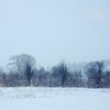 3月の大雪