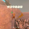 初めての祠　ウコウホの祠に挑戦！【ゼルダの伝説ティアーズオブザキングダム】プレイ日記#5