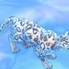 ｷｬﾗｽﾄ  突然変異
