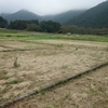 生物多様性の里山に