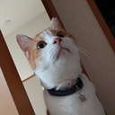 想~日々想うこと、徒然~