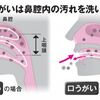 なるほど！花粉症や新型コロナウイルス変異型から守る予防策に繋がるうがいと体温調節