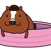 【追い切り注目馬】【TUF杯】【白河特別】【南相馬特別】他　2024/7/20(土) 福島競馬　時計は申し分なし