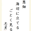 葱畑海辺に立てるごとく見る