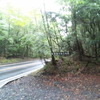 富士山　青木が原に行ってきました　ＰＡＲT　１
