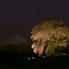 チョット一息：桜、富士山と温泉