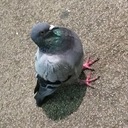 aozi’s blog