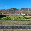 秩父散策（氷柱・温泉）