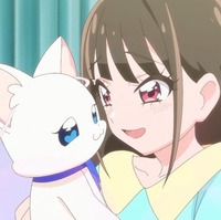 アニメ系のアンテナ