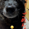一念発起　①日目の2。