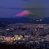 神奈川県の秦野にある弘法山公園は、穴場な夜景スポット