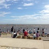 葛西海浜公園に行ってみた《顔がつけれる海水浴？》ちょっとキビシイ！水質改善に期待