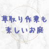 秋のお庭の茂みに挑み、喜ぶ。