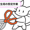 梅雨の中休み中に生垣の剪定と山口県萩市のお土産