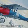 WW1 ドイツ戦闘機 Pfalz D.III,  D.XII （ファルツ D3, D12） プラモデル・模型 コレクション