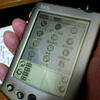 Palm VX