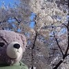 プレミアムフライデーってまだある？