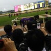 昔のデータ馬券術 (一昔前の のりべえの馬券術は 当たらん！でも データが 取れると 馬券が 当たると 思うきっかけに なった！) 