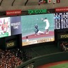 久しぶりの外野席
