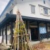 小千谷「魚こう蔵」の魚料理が美味しくてご飯が止まらなかった！