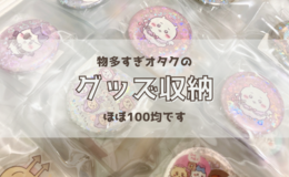 記事を見る