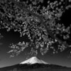 富士山が世界文化遺産