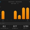 今週12/13〜12/19のラン