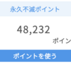 迷子の永久不滅ポイントが見つかったけど、ちょっとだけ失くしてしまいました・・・