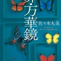榛家の伝説』佐々木丸美、最後の作品「伝説」シリーズの二作目