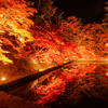 【弘前】秋と冬の弘前 弘前紅葉祭り・弘前城雪燈籠まつり【青森県】