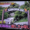 似てる？　横浜市立金沢動物園・コアラ担当・加曾利亜紀さんとコアラ