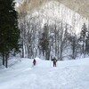 せせらぎ街道から傘山（からかさやま）１３３１ｍへ！