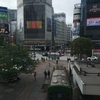 5月4日…雨〜曇り