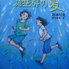 みずがめ座流星群の夏／児童文学／感想・レビューなど