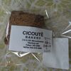 「CICOUTE BAKERY（チクテベーカリー）」さんの”中川さんと斎藤さん有機人参のscone”