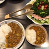 母の日に娘とカレーライスを作ってみた