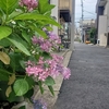 東京府北豊島郡王子町時代のマンホール蓋が壊滅的状態だった。
