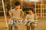 ビリー・バンバン菅原孝さんなぜ死去？弟・進さんは今後どうする？