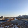 春。豊平川。鮭ニキと。（あと豚の舞茸漬け込み焼き）