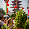 【２１５】台東区浅草　夏を告げるほおずき市