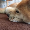 大変賢いトーク集